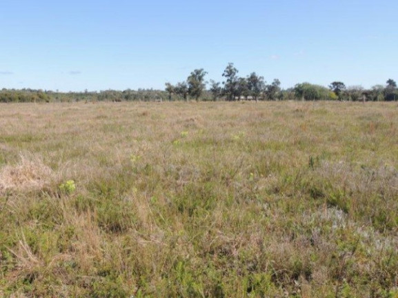 Imagem Terreno à Venda, 1.000 m² em Morro Grande - Viamão Imagem Terreno à Venda, 1.000 m² em Morro Grande - Viamão