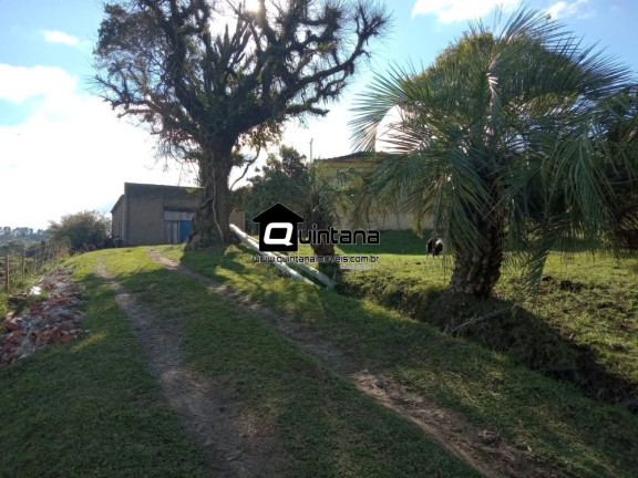 Imagem Imóvel com 4 Quartos à Venda, 80.000 m² em Colônia Santa Maria - Pelotas Imagem Imóvel com 4 Quartos à Venda, 80.000 m² em Colônia Santa Maria - Pelotas