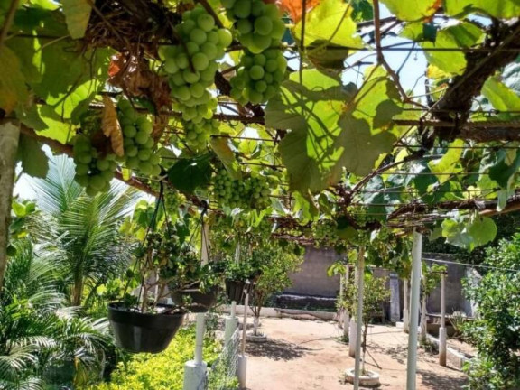 Imagem Chácara com 2 Quartos à Venda, 900 m² em Piracangaguá - Taubaté
