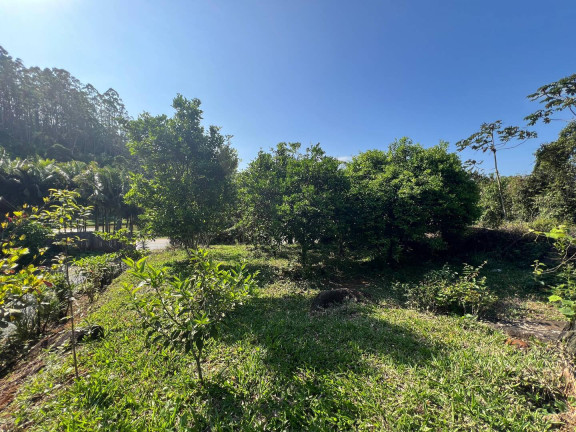 Imagem Chácara com 3 Quartos à Venda, 2.600.000 m² em Massaranduba Imagem Chácara com 3 Quartos à Venda, 2.600.000 m² em Massaranduba