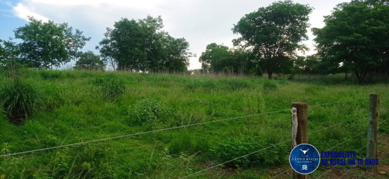 Imagem Fazenda à Venda, 86 m² em Zona Rural - Montes Claros De Goiás Imagem Fazenda à Venda, 86 m² em Zona Rural - Montes Claros De Goiás