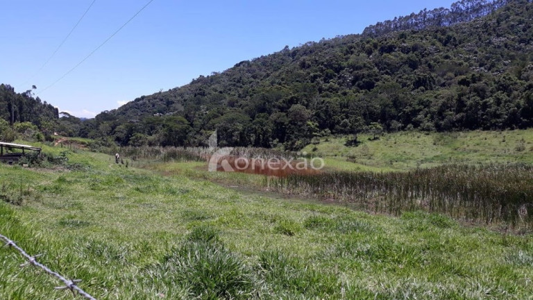 Imagem Chácara com 3 Quartos à Venda, 200 m² em Morro Azul - Paraibuna Imagem Chácara com 3 Quartos à Venda, 200 m² em Morro Azul - Paraibuna