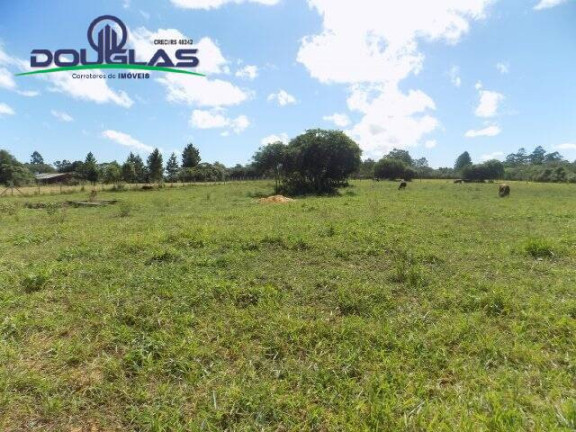 Imagem Terreno à Venda, 1.100 m² em águas Claras - Viamão