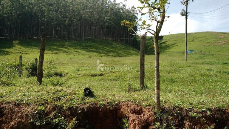 Imagem Fazenda à Venda, 500 m² em Pernambucana - Paraibuna Imagem Fazenda à Venda, 500 m² em Pernambucana - Paraibuna