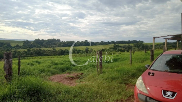Imagem Chácara com 3 Quartos à Venda, 27 m² em área Rural De Casa Branca - Casa Branca Imagem Chácara com 3 Quartos à Venda, 27 m² em área Rural De Casa Branca - Casa Branca