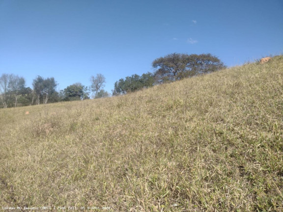 Imagem Chácara à Venda, 44.800 m² em Santo Antônio De Caldas - Caldas Imagem Chácara à Venda, 44.800 m² em Santo Antônio De Caldas - Caldas