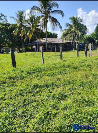 Imagem Fazenda à Venda, 123 m² em Zona Rural - Torixoréu Imagem Fazenda à Venda, 123 m² em Zona Rural - Torixoréu