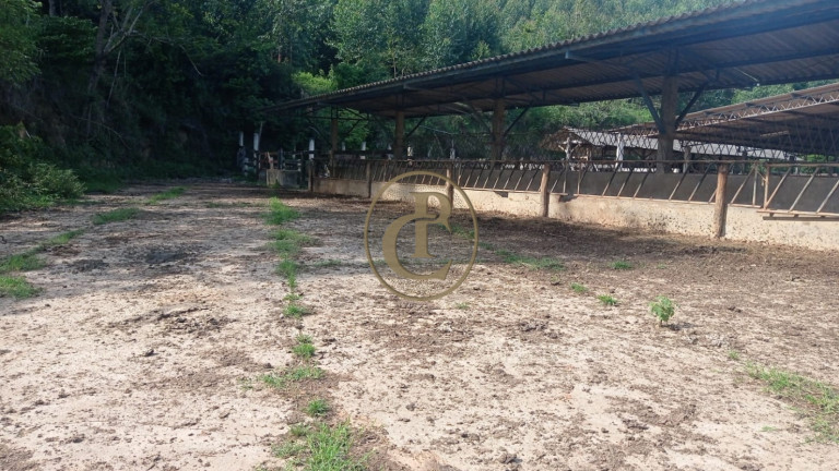 Imagem Fazenda para Alugar, 100 m² em Serrote - Santa Branca Imagem Fazenda para Alugar, 100 m² em Serrote - Santa Branca