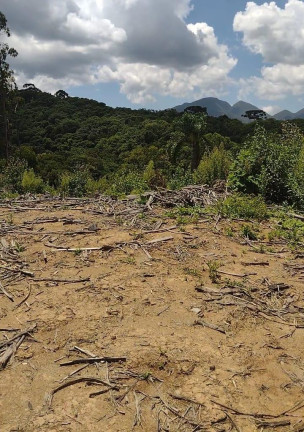 Imagem Imóvel à Venda, 72.600 m² em Ribeirão Do Tigre - Quatro Barras Imagem Imóvel à Venda, 72.600 m² em Ribeirão Do Tigre - Quatro Barras