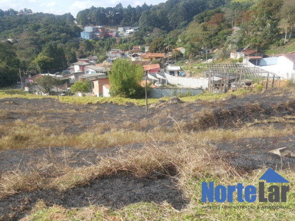 Imagem Terreno à Venda, 20.000 m² em Laranjeiras - Caieiras Imagem Terreno à Venda, 20.000 m² em Laranjeiras - Caieiras