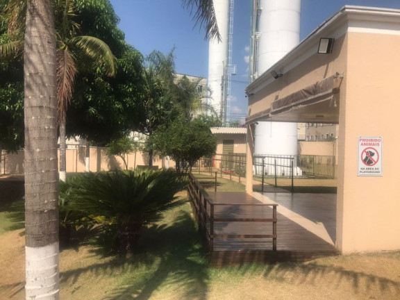 Imagem Apartamento com 2 Quartos à Venda, 46 m² em Jardim Terra Branca - Bauru Imagem Apartamento com 2 Quartos à Venda, 46 m² em Jardim Terra Branca - Bauru