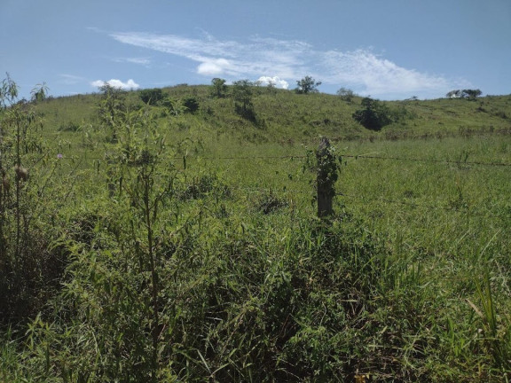 Imagem Fazenda à Venda, 100 m² em Canas - Canas Imagem Fazenda à Venda, 100 m² em Canas - Canas