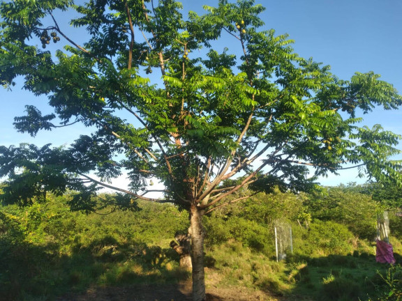 Imagem Terreno à Venda, 8.320 m² em Fonte Limpa - Araruama Imagem Terreno à Venda, 8.320 m² em Fonte Limpa - Araruama