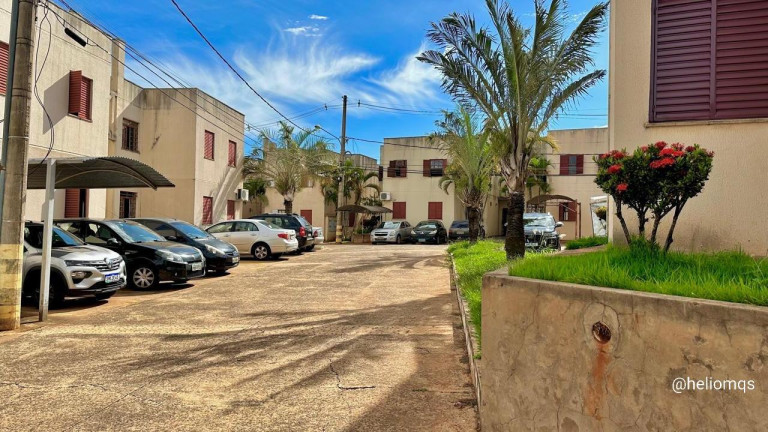 Imagem Apartamento com 3 Quartos à Venda, 53 m² em Vila Miguel Couto - Campo Grande