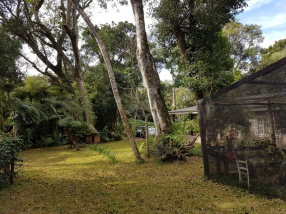 Imagem Chácara com 3 Quartos à Venda, 8.000 m² em Zona Rural - Cascavel