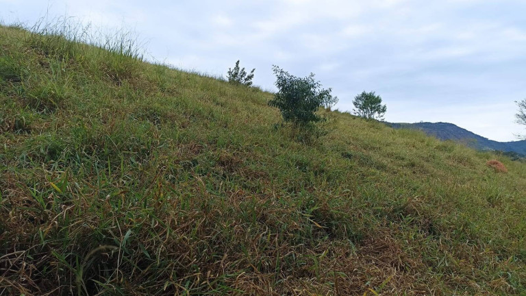 Imagem Fazenda à Venda, 200 m² em Lajeado - Paraibuna Imagem Fazenda à Venda, 200 m² em Lajeado - Paraibuna