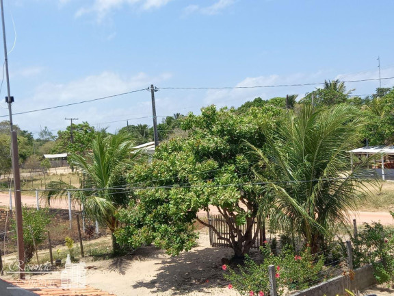 Imagem Fazenda à Venda, 1.600 m² em Imirizal - Salvaterra Imagem Fazenda à Venda, 1.600 m² em Imirizal - Salvaterra