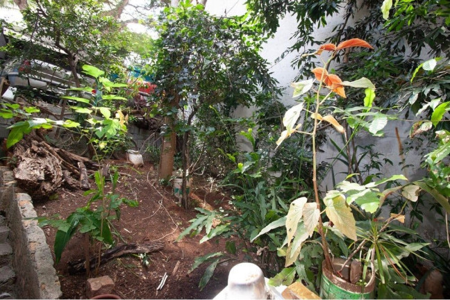 Imagem Casa com 3 Quartos à Venda, 154 m² em Bela Vista - São Paulo Imagem Casa com 3 Quartos à Venda, 154 m² em Bela Vista - São Paulo