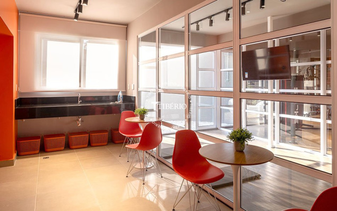 Imagem Apartamento com 1 Quarto à Venda, 31 m² em Vila Mariana - São Paulo Imagem Apartamento com 1 Quarto à Venda, 31 m² em Vila Mariana - São Paulo