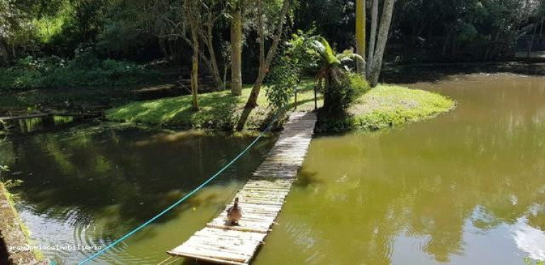 Imagem Chácara à Venda, em Consultar - Ibiúna Imagem Chácara à Venda, em Consultar - Ibiúna