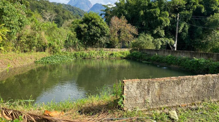 Imagem Imóvel com 3 Quartos à Venda, 12.000 m² em Cachoeira - Antonina Imagem Imóvel com 3 Quartos à Venda, 12.000 m² em Cachoeira - Antonina