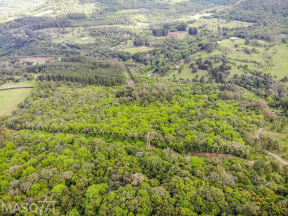 Imagem Chácara à Venda, 30.000 m² em Linha 28 - Gramado Imagem Chácara à Venda, 30.000 m² em Linha 28 - Gramado