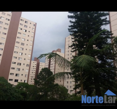 Imagem Apartamento com 2 Quartos à Venda, 55 m² em Jardim Peri - São Paulo Imagem Apartamento com 2 Quartos à Venda, 55 m² em Jardim Peri - São Paulo