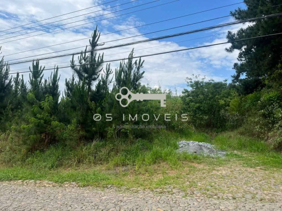 Imagem Terreno em Condomínio à Venda, 4 m² em Paisagem Renoir - Cotia Imagem Terreno em Condomínio à Venda, 4 m² em Paisagem Renoir - Cotia