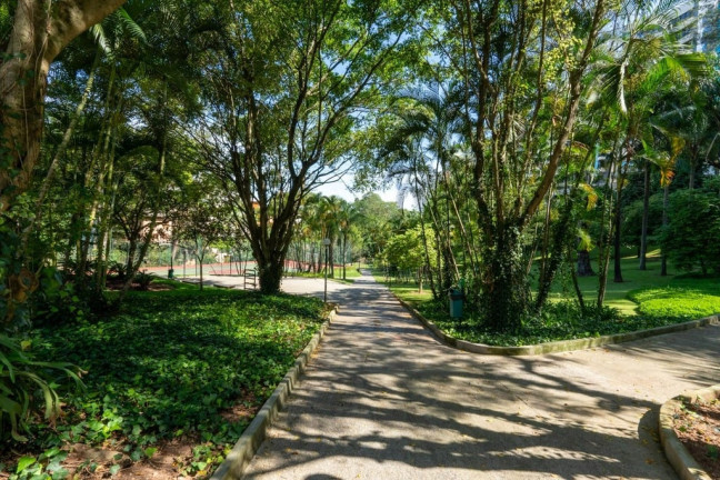Imagem Imóvel com 3 Quartos à Venda, 243 m² em Jardim Vitória Régia - São Paulo