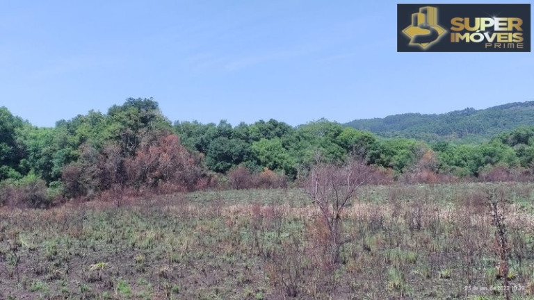 Imagem Imóvel com 4 Quartos à Venda, 2.600.000 m² em Centro - Canguçu
