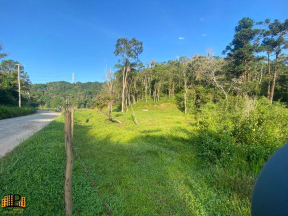 Imagem Terreno à Venda, 3.000 m² em Barrinha - São Lourenço Da Serra Imagem Terreno à Venda, 3.000 m² em Barrinha - São Lourenço Da Serra