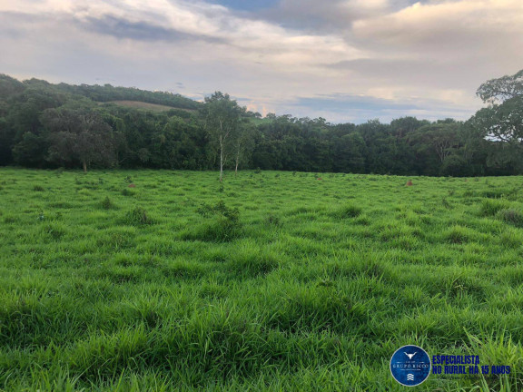 Imagem Chácara à Venda, 11 m² em Zona Rural - Jaraguá Imagem Chácara à Venda, 11 m² em Zona Rural - Jaraguá