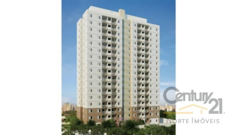 Imagem Apartamento com 2 Quartos à Venda,  em Vila Amália - São Paulo