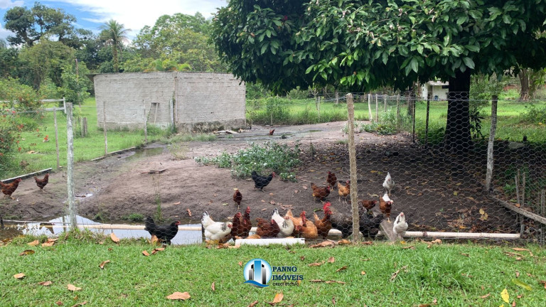 Imagem Imóvel com 3 Quartos à Venda, 20.000 m² em Parque Nossa Senhora Da Ajuda - Guapimirim