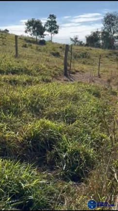 Imagem Fazenda à Venda, 25 m² em Zona Rural - Ivolândia Imagem Fazenda à Venda, 25 m² em Zona Rural - Ivolândia