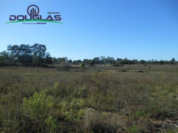 Imagem Terreno à Venda, 600 m² em águas Claras - Viamão