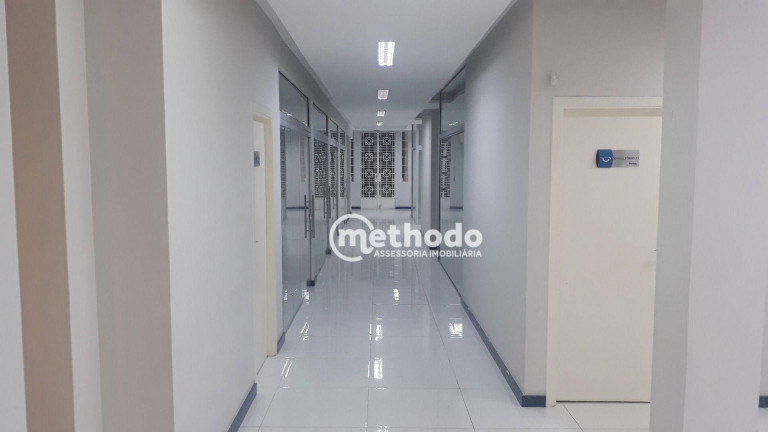 Imagem Edifício Residencial para Alugar, 834 m² em Centro - Campinas Imagem Edifício Residencial para Alugar, 834 m² em Centro - Campinas
