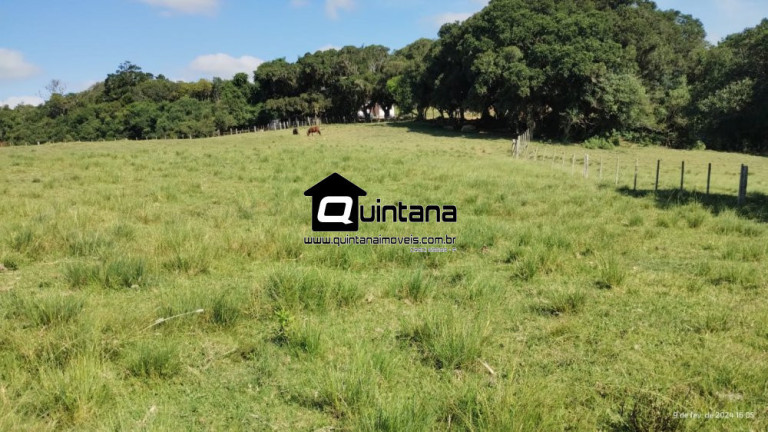 Imagem Imóvel com 2 Quartos à Venda, 180.000 m² em Capela Da Buena - Morro Redondo Imagem Imóvel com 2 Quartos à Venda, 180.000 m² em Capela Da Buena - Morro Redondo