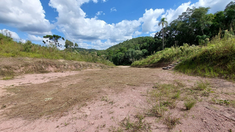 Imagem Chácara com 6 Quartos à Venda, 1 m² em Felpudo - Campo Largo Imagem Chácara com 6 Quartos à Venda, 1 m² em Felpudo - Campo Largo