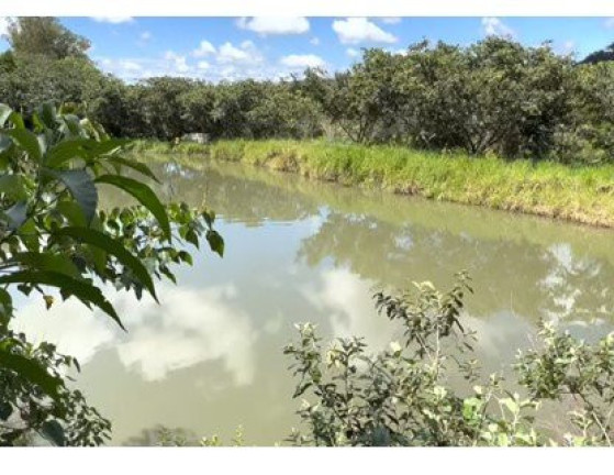 Imagem Imóvel à Venda, 8.000 m² em área Rural De Bauru - Bauru Imagem Imóvel à Venda, 8.000 m² em área Rural De Bauru - Bauru