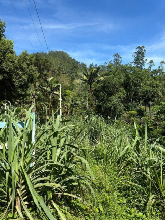 Imagem Chácara com 5 Quartos à Venda, 300 m² em Pedra De amolar - Corupá