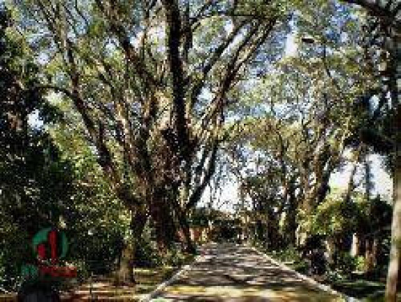 Terreno à Venda, 520 m² em Bosque Do Vianna - Cotia