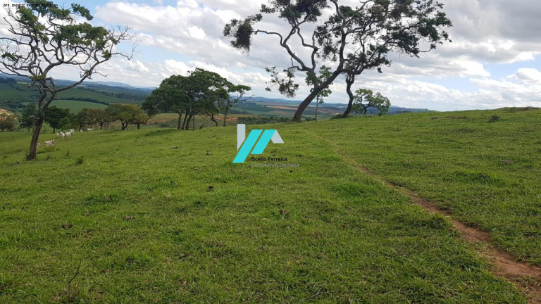 Imagem Fazenda à Venda, 128 m² em Zona Rural - Oliveira Imagem Fazenda à Venda, 128 m² em Zona Rural - Oliveira