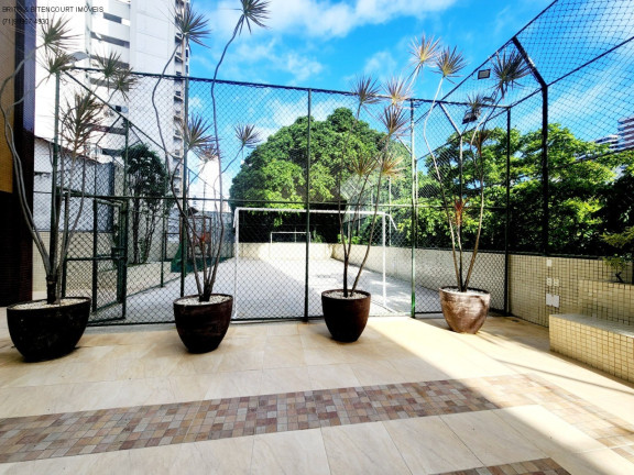 Imagem Imóvel com 4 Quartos à Venda, 199 m² em Canela - Salvador Imagem Imóvel com 4 Quartos à Venda, 199 m² em Canela - Salvador