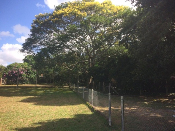Imagem Casa com 3 Quartos à Venda, 1.980 m² em águas Claras - Viamão