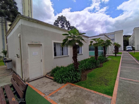 Imagem Apartamento com 2 Quartos à Venda, 45 m² em Iná - São José Dos Pinhais Imagem Apartamento com 2 Quartos à Venda, 45 m² em Iná - São José Dos Pinhais