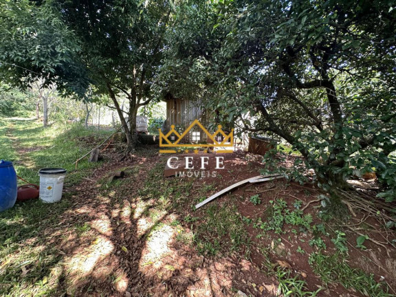 Sala Comercial à Venda, 20 m² em Linha Cristo Rei - Morro Reuter