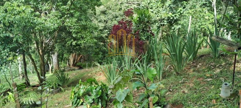Imagem Chácara com 2 Quartos à Venda, 5.700 m² em Jardim Colônia - Jacareí Imagem Chácara com 2 Quartos à Venda, 5.700 m² em Jardim Colônia - Jacareí