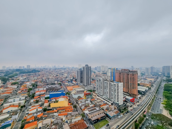 Imagem Apartamento com 3 Quartos à Venda, 130 m² em Jardim Avelino - São Paulo Imagem Apartamento com 3 Quartos à Venda, 130 m² em Jardim Avelino - São Paulo