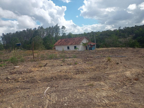 Imagem Fazenda à Venda, 2.323.200 m² em Fazenda